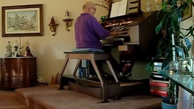 Richard S. Toth - Blue Spanish Eyes - Organ смотреть онлайн