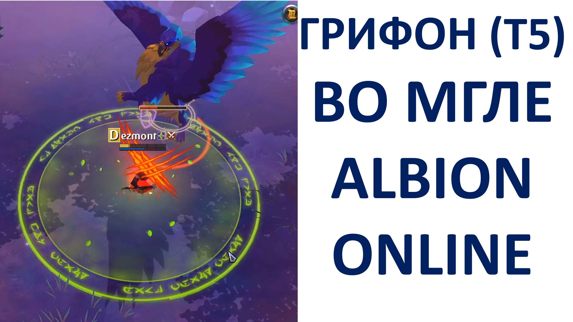 Грифон Т5 во мгле Albion Online (Европа) выпали Чистые перья грифона (эксперт) смотреть онлайн