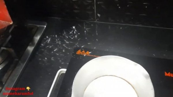 infrared cooker/how to use infrared cooker