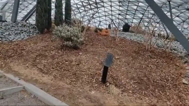 ЕНОСТИКИ в ЭФИРЕ 17.03.23 смотреть онлайн