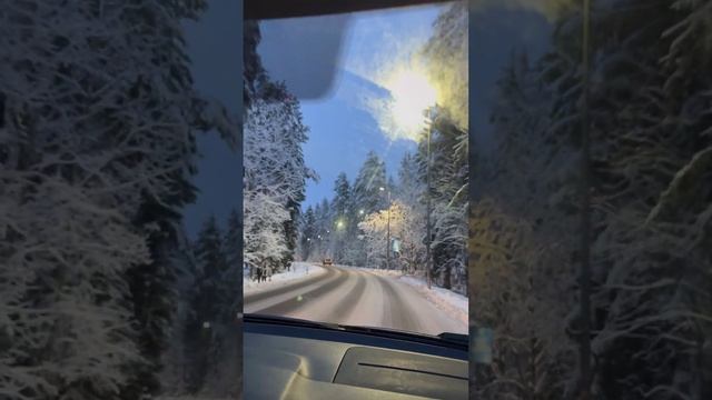 Сказочная зима в Ленинградской области❄️#shorts смотреть онлайн