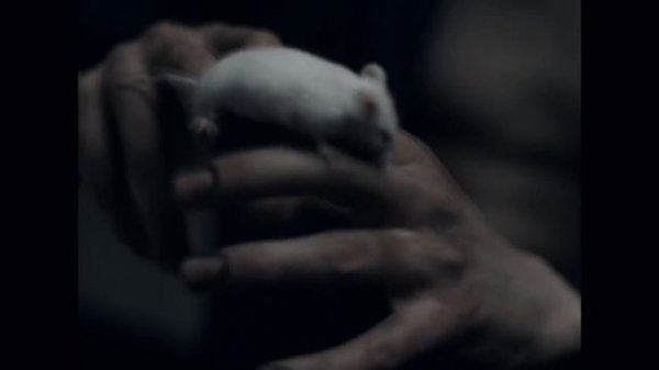 ХАСКИ-НОВАЯ ЗВЕЗДА(Биография)