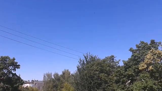Буйно цветёт липа. Стрижи смотреть онлайн
