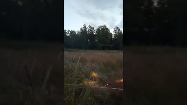 Перетягивание каната НИВА vs УАЗ смотреть онлайн