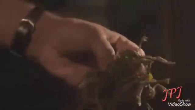 Srilanka TEA смотреть онлайн