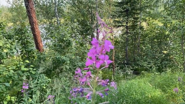 Норильск/День железнодорожника/Где я работаю/Турбаза/Водопад. смотреть онлайн