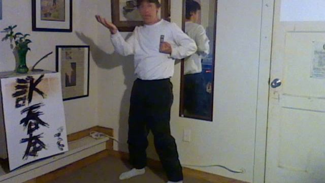 Wing Chun Training - Gan Sao смотреть онлайн
