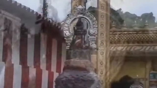 song006.flv смотреть онлайн