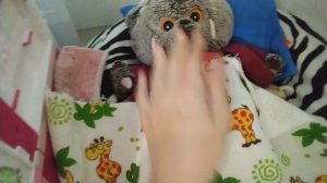 Басик заболел