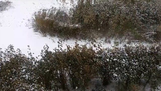 Тула Первый снег 29 10 2016г смотреть онлайн