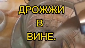 ДРОЖЖИ И ВИНО.