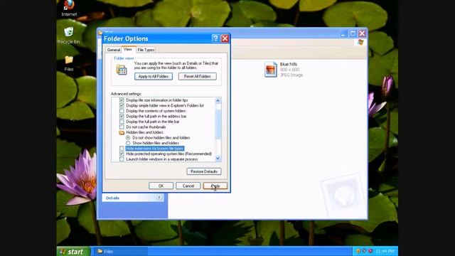 Show Hidden Files and Extension in Windows XP смотреть онлайн