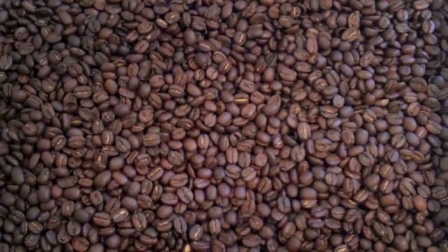 Kenya AA Kichwa Tembo Fresh Roasted Coffee Beans смотреть онлайн