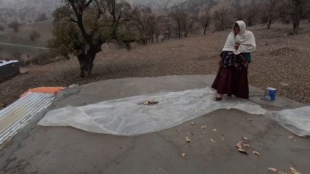 Winter Trial: A Nomadic Widow's Struggle Against The Cold