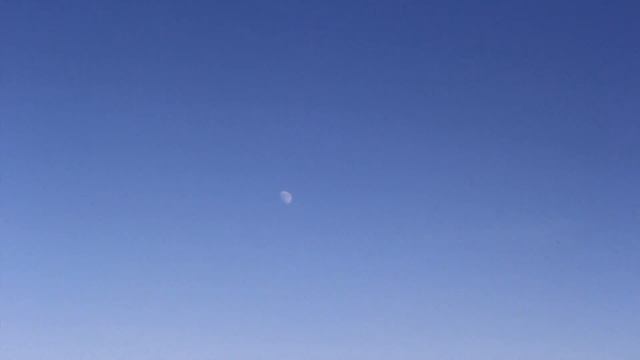 Tan Cologne - Alien смотреть онлайн