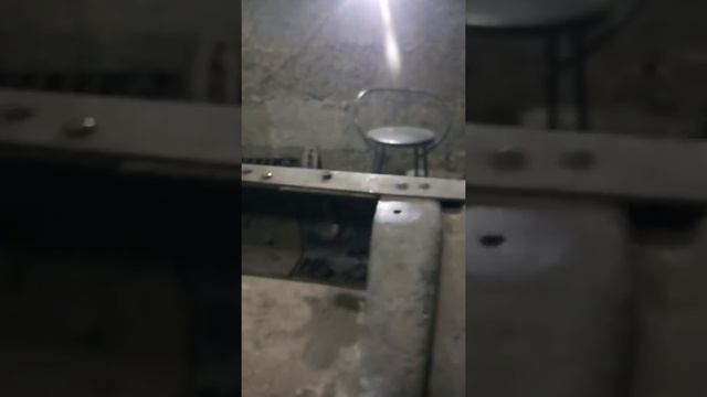 Газель смотреть онлайн