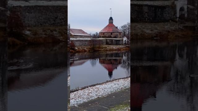 VID_20241101_084739 (1)