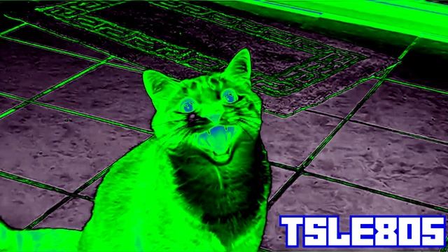 [REQUESTED] Shortest Video On Youtube Effects [NEIN Csupo Effects] смотреть онлайн