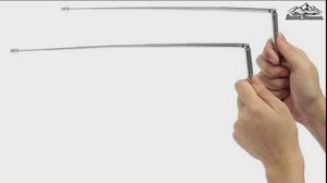 Биолокация