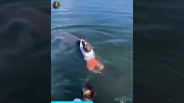 На воде и так бывает - не безопасно 🔥🔥🔥 смотреть онлайн
