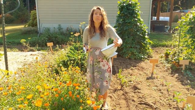 Herbal Flower Garden Tour [How to harvest chamomile & MEDICINAL flowers] смотреть онлайн