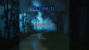 Нашид - Кунту майтан