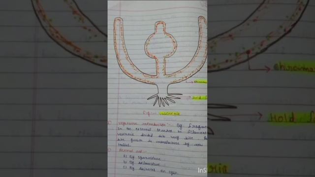 Botany lover 🥰😊😊🌴🪴🍀🌵🌿🌱🌳 смотреть онлайн