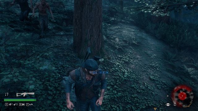 Days Gone 2025.01.13