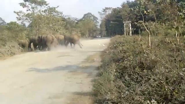 Sajju Bhai Rheabari ((WB))(3) смотреть онлайн