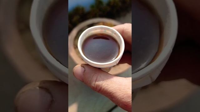 Сладко-солено-острый чай | Еда | Индия 👁️ TRIP смотреть онлайн