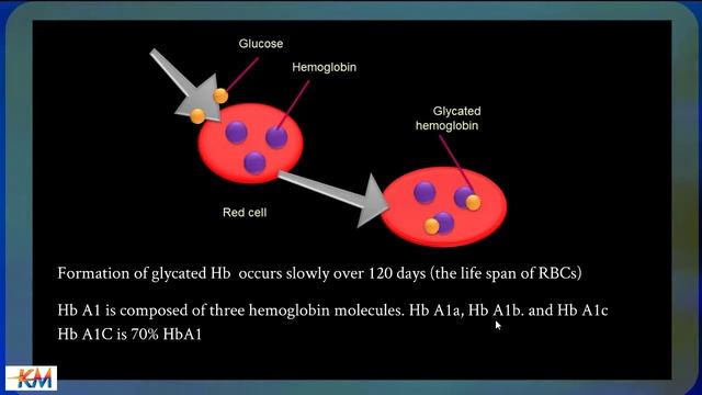 Glycated hemoglobin (HbA1c) السكر التراكمي او الهيموجلوبين السكري смотреть онлайн