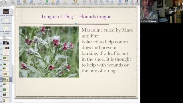 Trefor Wickens - The Magical Use of Herbs in the Shakespearean Era смотреть онлайн