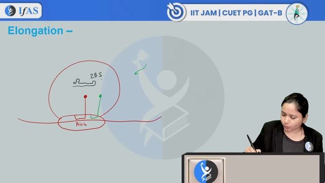 Eukaryotic Translation | Molecular Biology | IIT JAM 2025 / CUET PG 2025 / GAT-B 2025 | L10 | IFAS смотреть онлайн