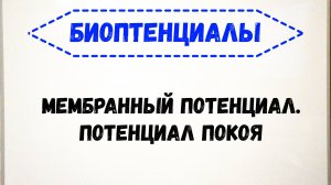 Электрофизиология. Биопотенциалы. Мембранный потенциал. Потенциал покоя.