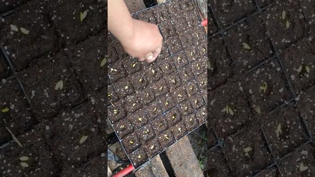 Наш пекарь смотреть онлайн