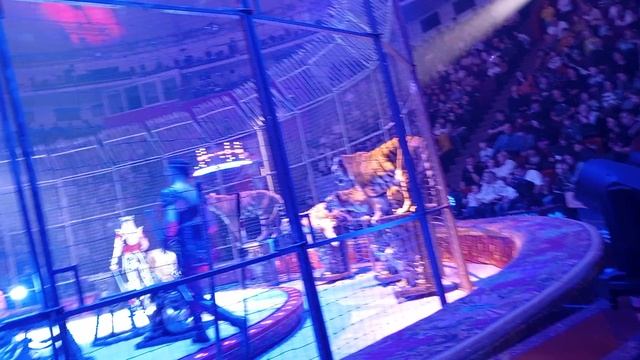 1000008637.mp4 смотреть онлайн