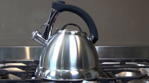 Top Rated Whistling Tea Kettle with Premium Stainless Steel FREE Tea Infusers by Pykal