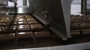 Индустриальное  бисквитные рулеты Polin