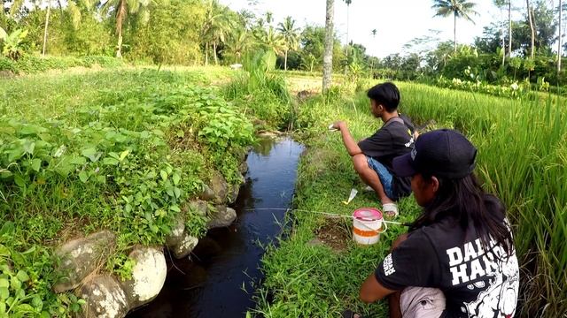 Review Umpan Terbaru Tanago Micro Fishing Lunga Mancing || Umpan Jitu Ikan Uceng,Wader,nilem смотреть онлайн