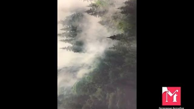 9-1131 смотреть онлайн