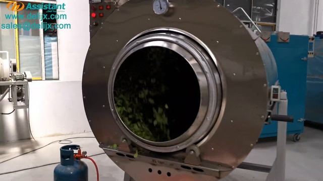 Tea Panning machine leaf roasting machine green tea kill green machine смотреть онлайн