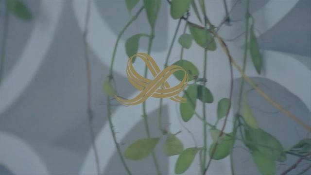 Plains & Prints x Vania Romoff Collection смотреть онлайн