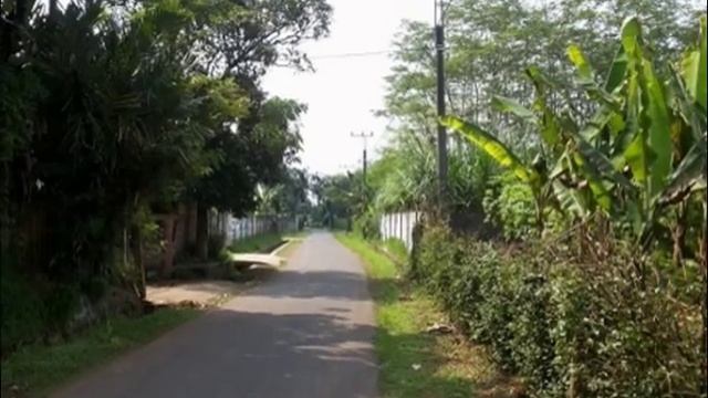 Tanah Di Jual Di Bogor | jual tanah di bogor - 08788 4962130 смотреть онлайн