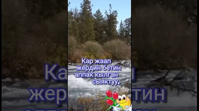 Жакшы маанай баарыныздарга. смотреть онлайн