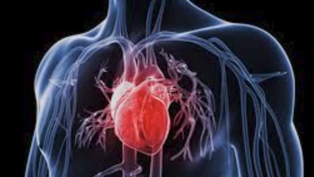 В ЧЁМ ВРЕД ГАЗИРОВКИ. смотреть онлайн