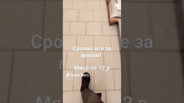 Дешёвое мясо 😄 смотреть онлайн