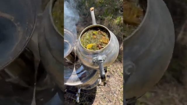 Дикий чай 🍵 смотреть онлайн