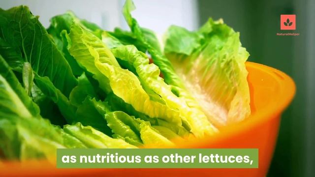 Top 36 Low Calorie Fruits And Vegetables That You Can Eat Everyday For Weight Loss Goal смотреть онлайн