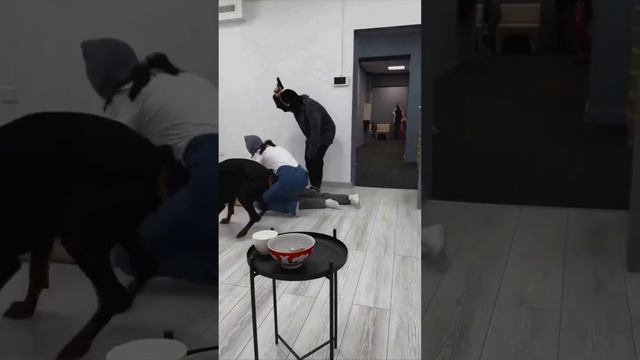 Заведи собаку говорили они... смотреть онлайн