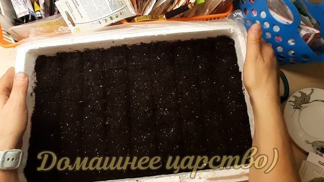 Посев капусты на рассаду! Проверенный годами способ! смотреть онлайн